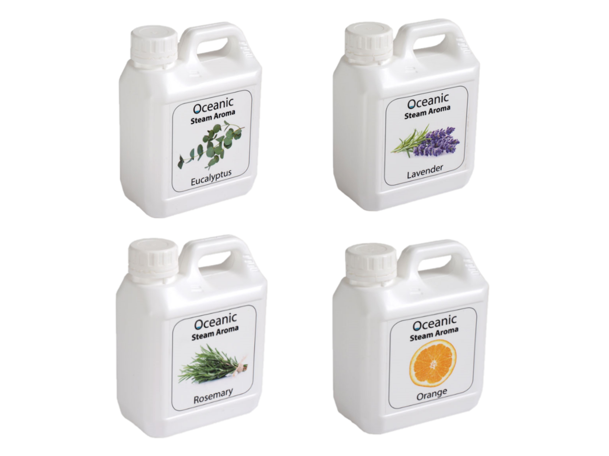 Steam Aroma Multipack (10 x 1 Litre)