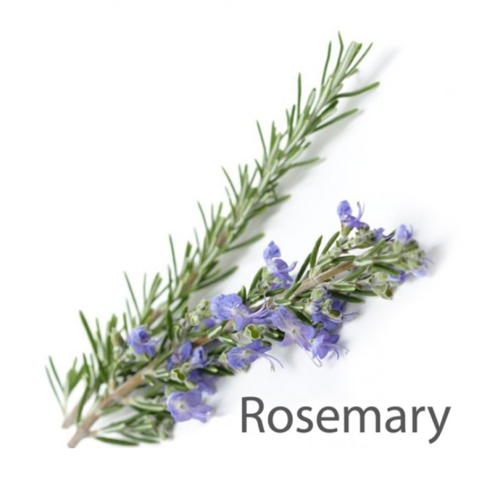 Steam Aroma Rosemary 4 x 5 Litre